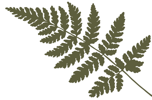 leaf left