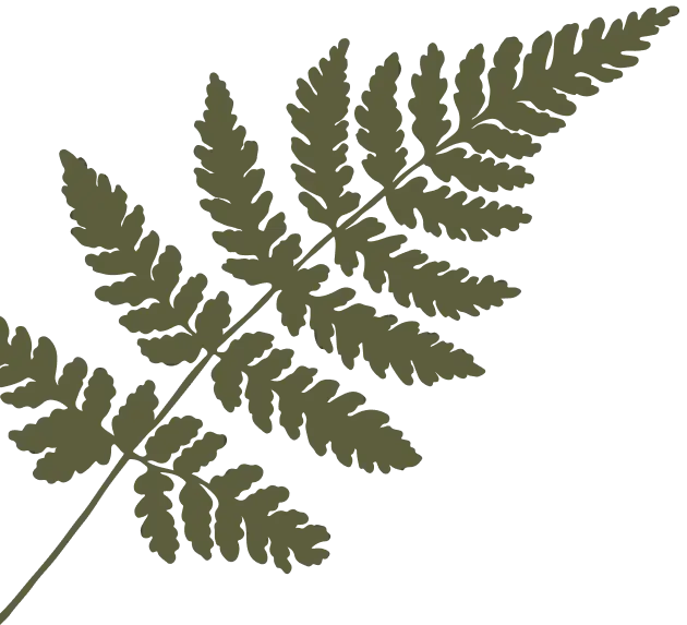 leaf right