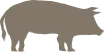pig icon