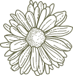 vintage flower