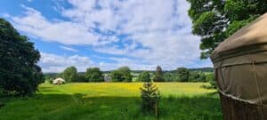 Yurt and Slane Castle in distance over field
