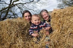 Caspar Straw Bale Building.opt302x201o00s302x201