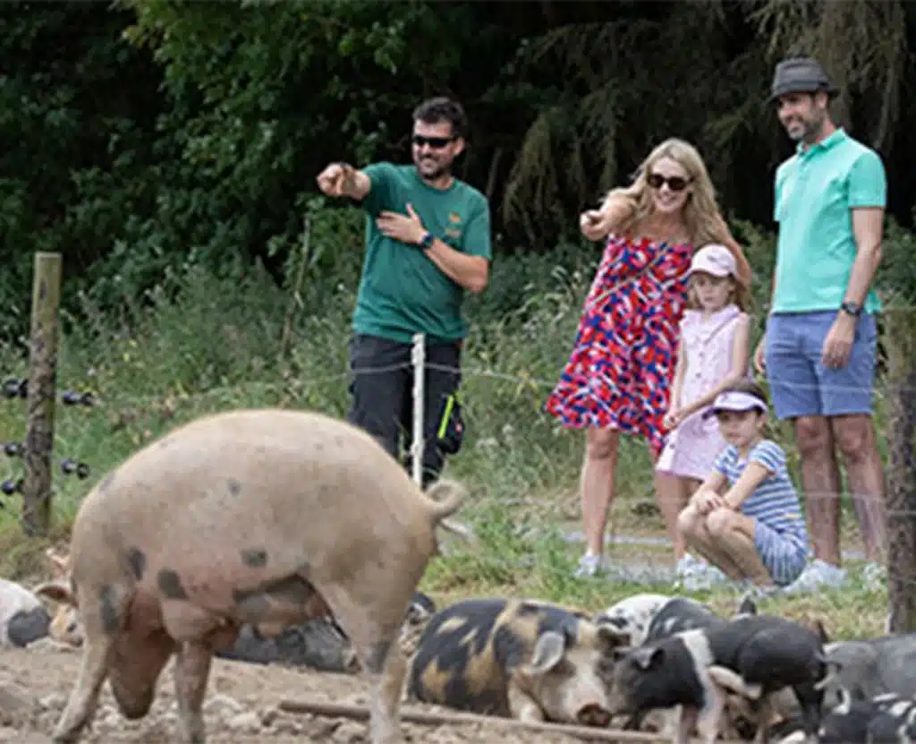 Family pointing at animals