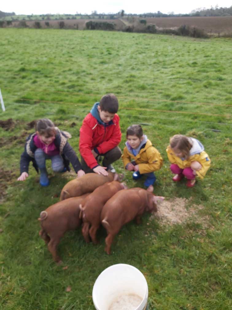 Group of four children petting piglets
