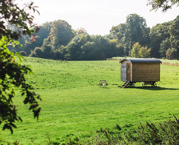 Pine Yurt exterior