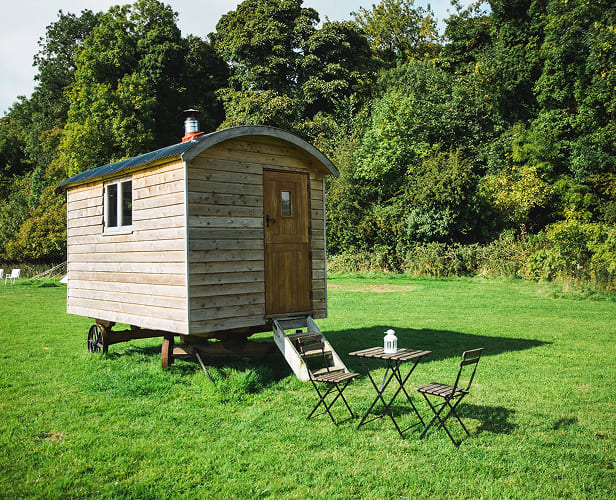 Pine Yurt