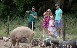 Rock Farm Slane Farm Tours
