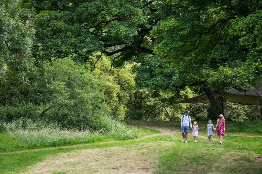 Family walking through field holding hands