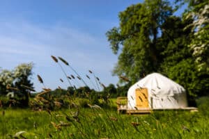 Rock Farm Saved For Web