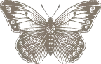 butterfly icon