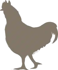 rooster icon