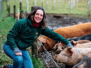 Carina_Conyngham-rock-farm-slane-feeding-pigs