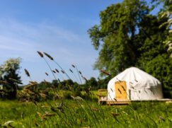 Rock Farm Yurt with blue sky and flowers